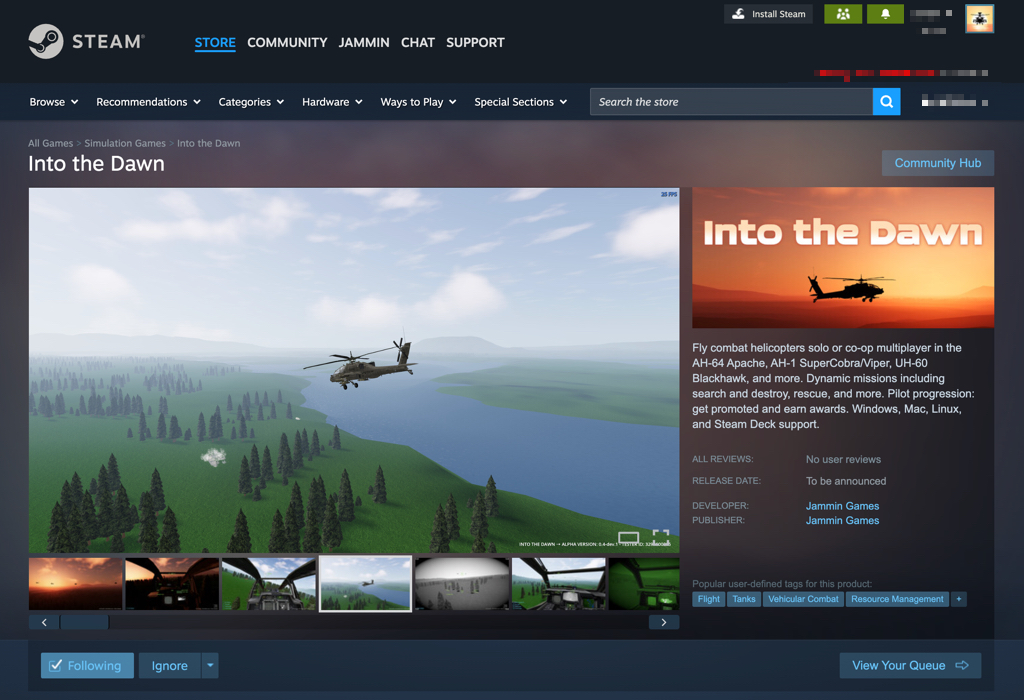 Into the Dawn Steam Store Page